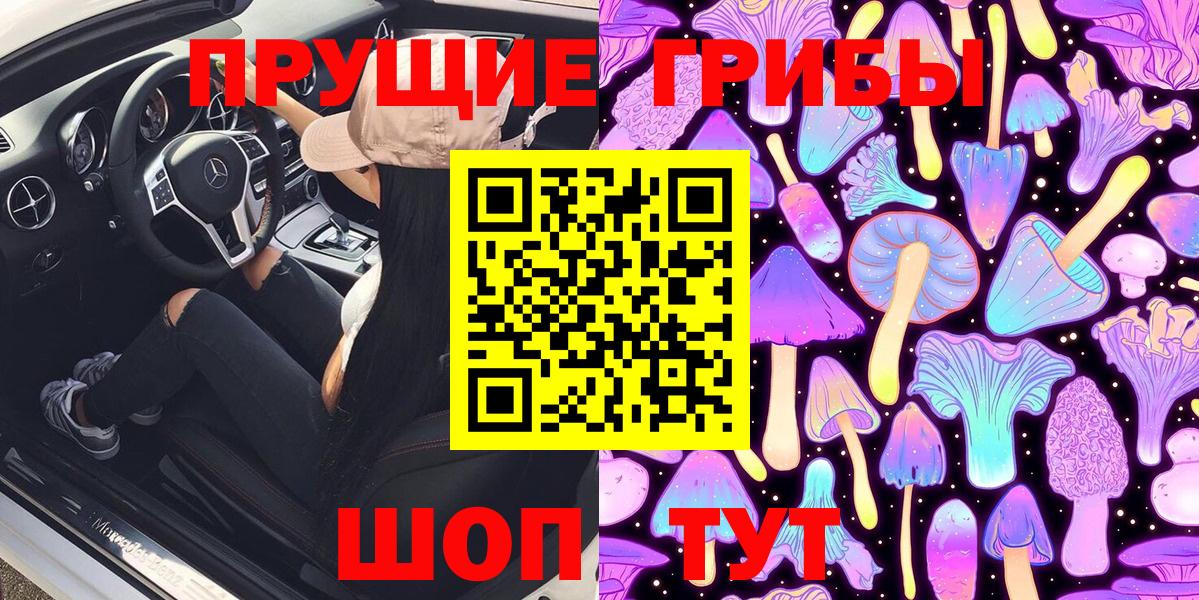 Псилоцибиновые грибы Psilocybe Нефтекамск